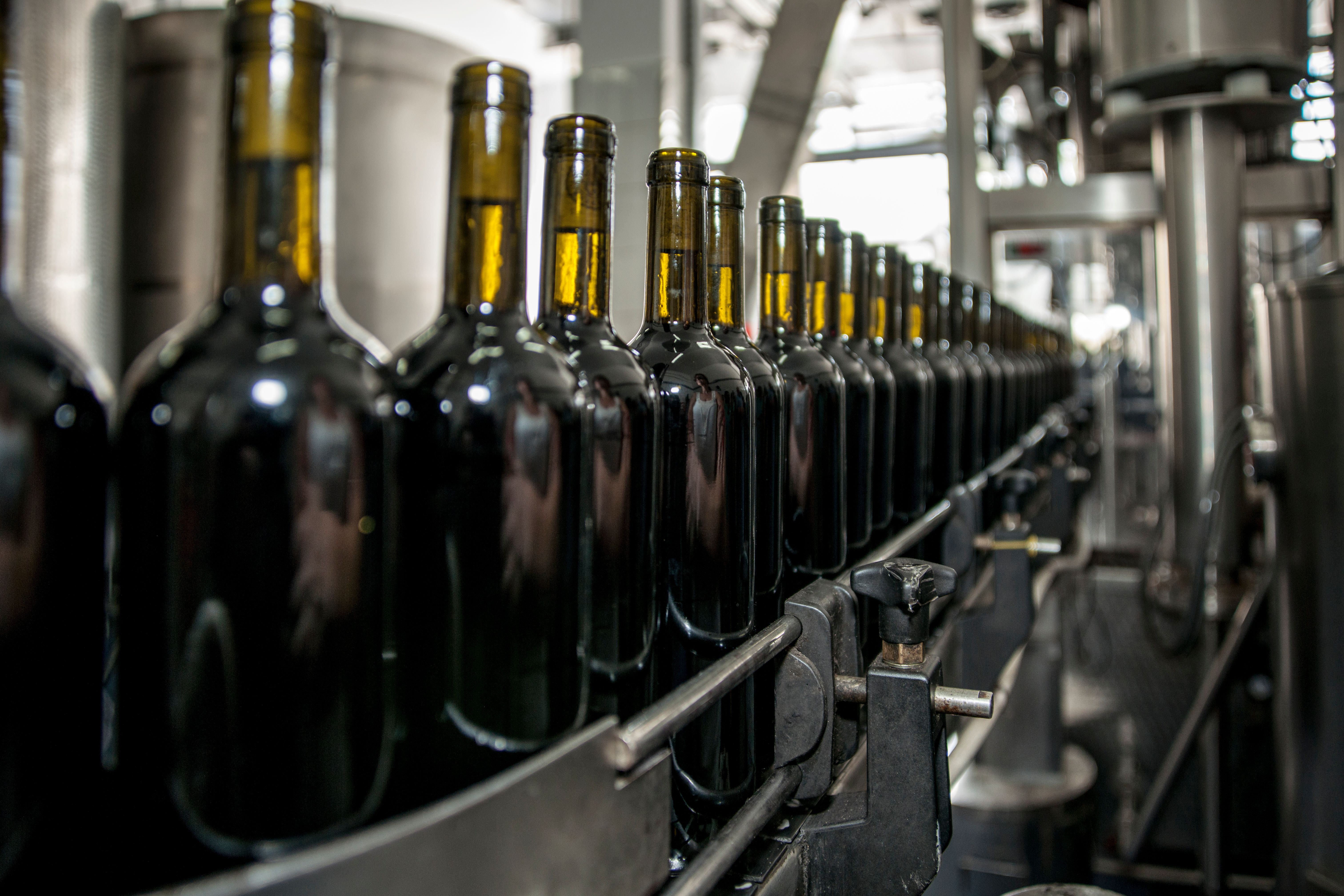 Glass bottles moving through a beverage bottling production line