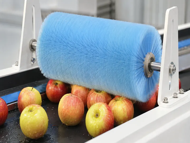 Roller brush controlling apples on a conveyor line for gentle product handling