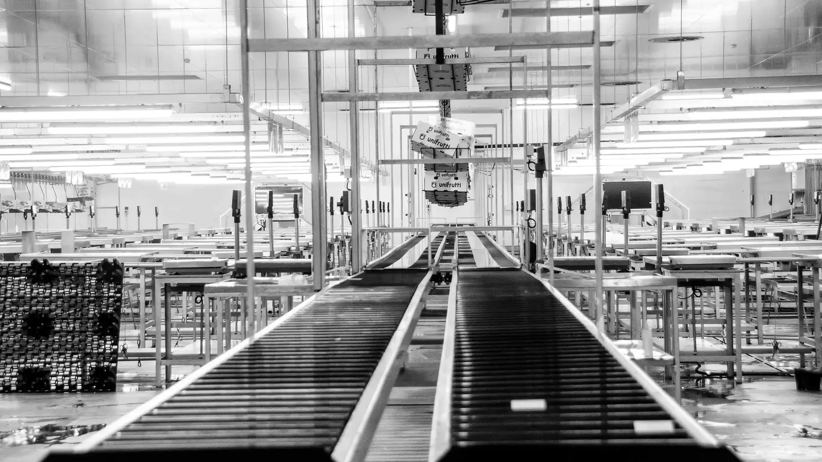 Conveyor production line with belt equipment for OEM conveyor brush applications