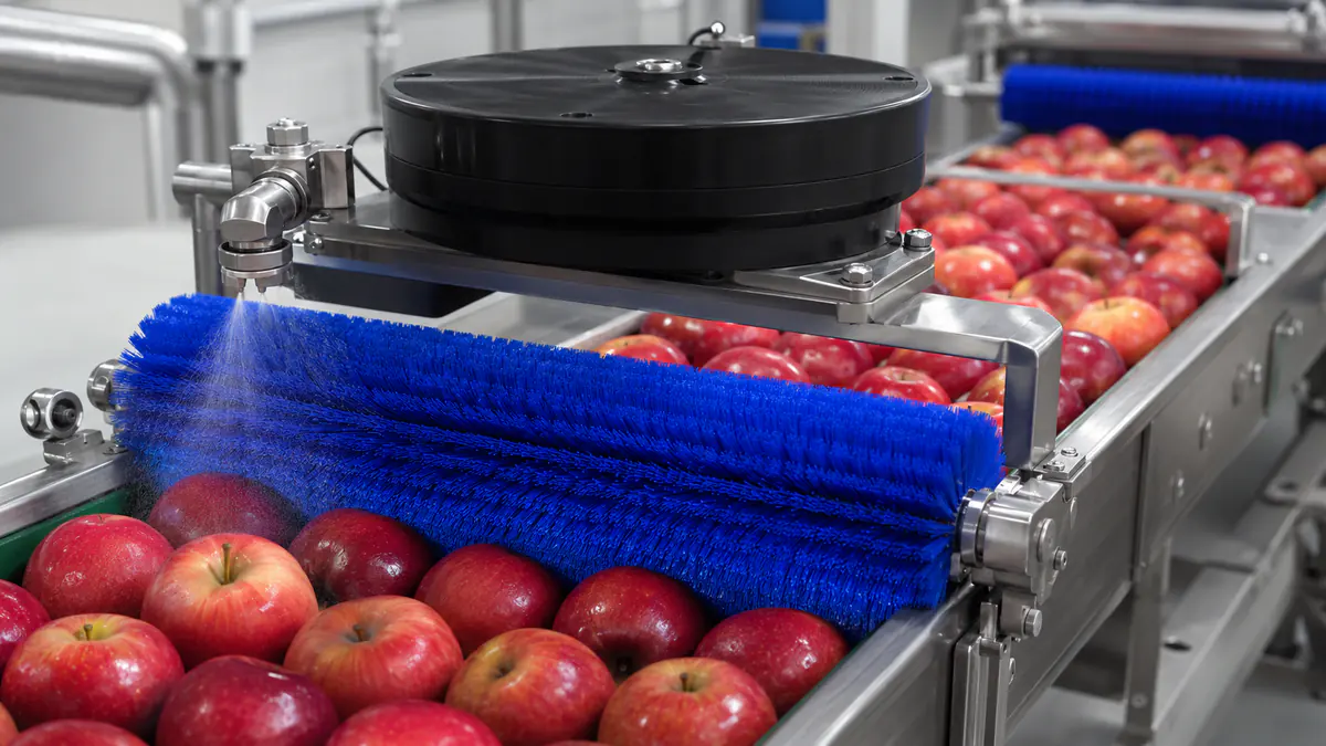 Blue brush roller supporting apple waxing or coating on a food processing line