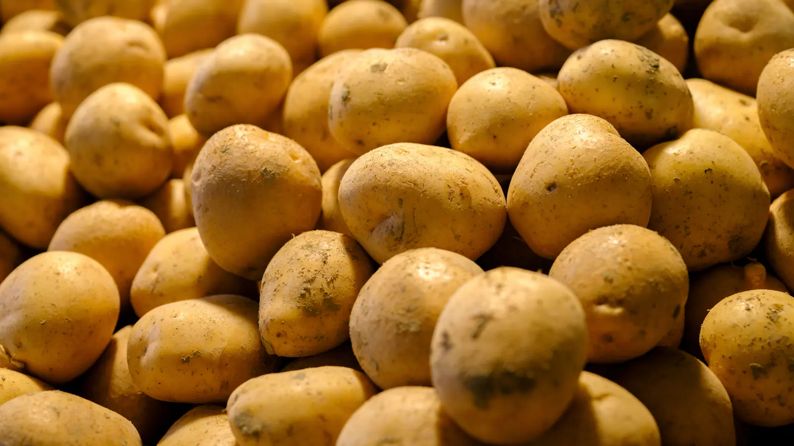 Prepared food product representing food processing output