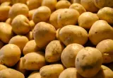 Food processing line brush application