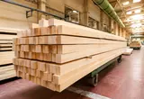 Woodworking brush processing line