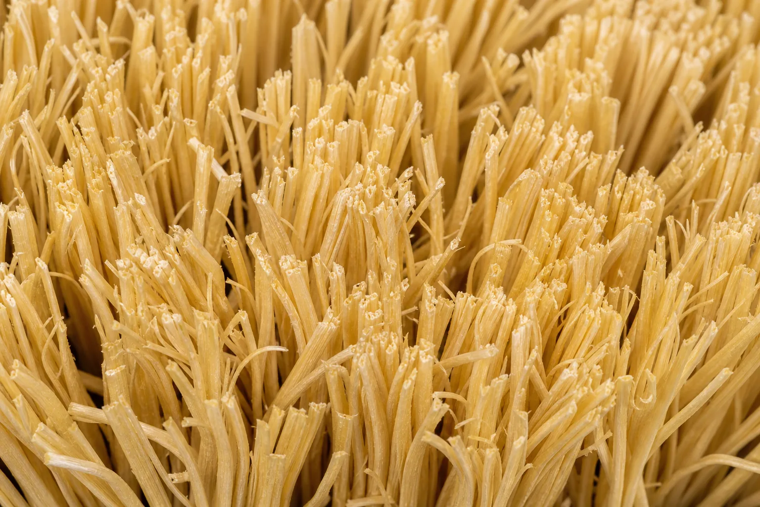 Natural bristle fill for light disc brush contact and polishing