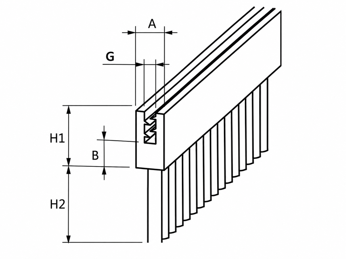 Clip-on strip brush profile drawing showing A, B, G, H1, and H2 dimensions
